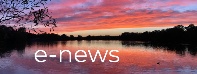 e-news