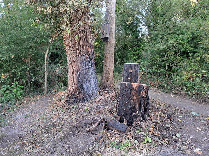Fire at Stockers Lake