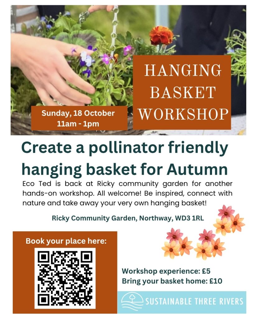 Hanging Basket Workshop held by Ricky Community Garden